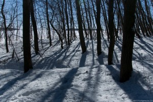 shadows-on-snow